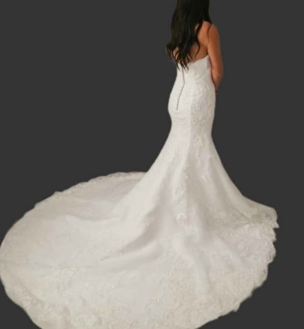 inbound2938241382453683277